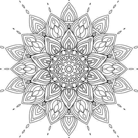 Colorful Mandala Pattern