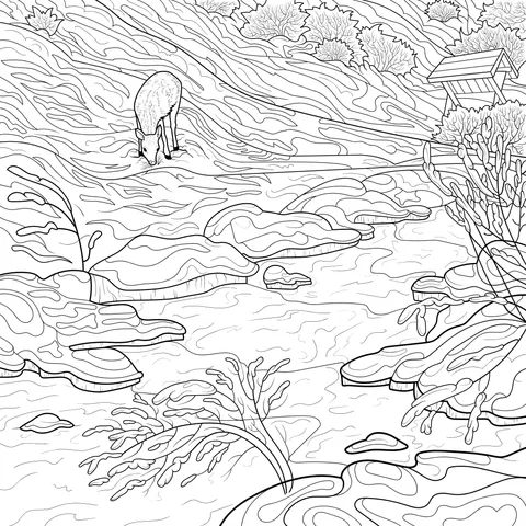 Deer foraging by the stream