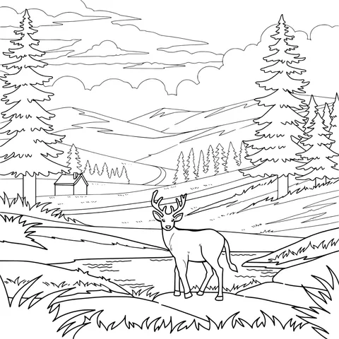 Deer by the Streamside and Pastoral Scenery