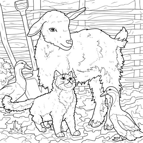 农场中的山羊、猫咪和鸭子