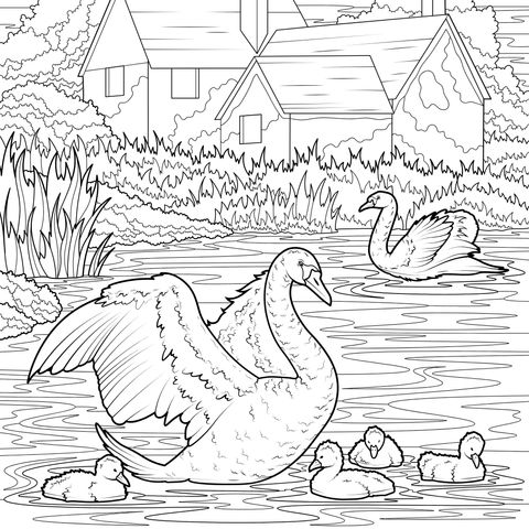 A Swan Family by the Lake