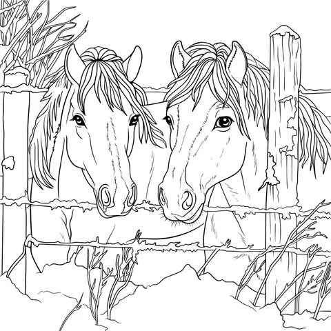 Two Horses in the Snow