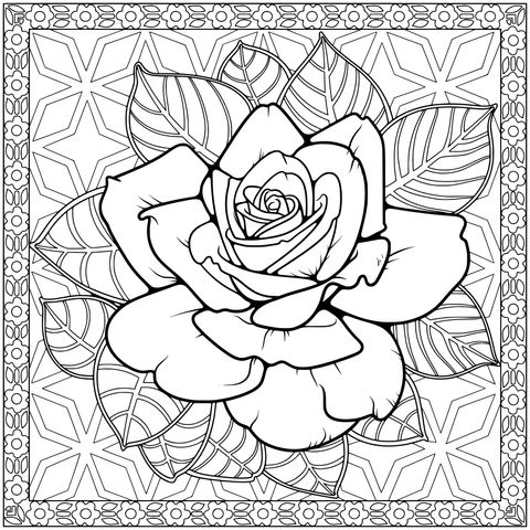 装饰性粉色玫瑰插画