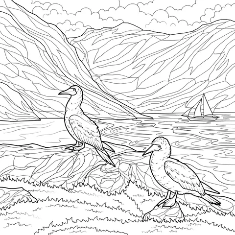 Two Birds on Coastal Rocks