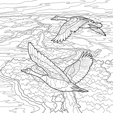 Geese Flying Over Autumn Scenery