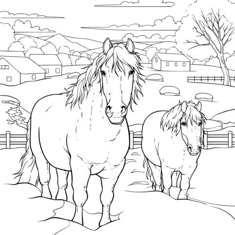 Two - Horse Coloring Page in a Winter Snowscape