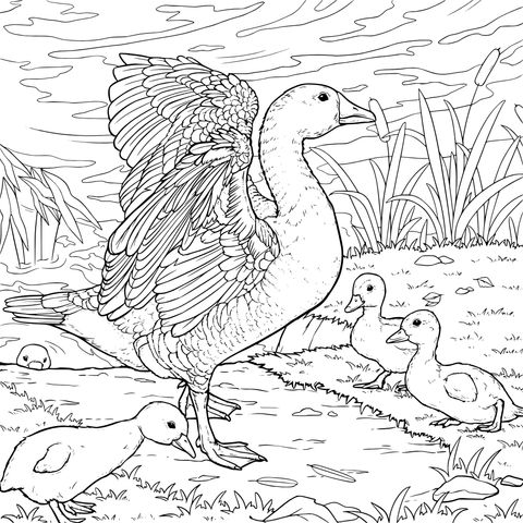 鸭妈妈和小鸭子们