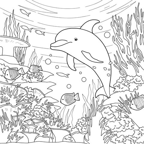 海豚的海底世界