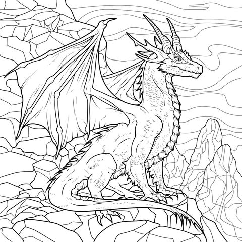 Red Dragon on Rocks
