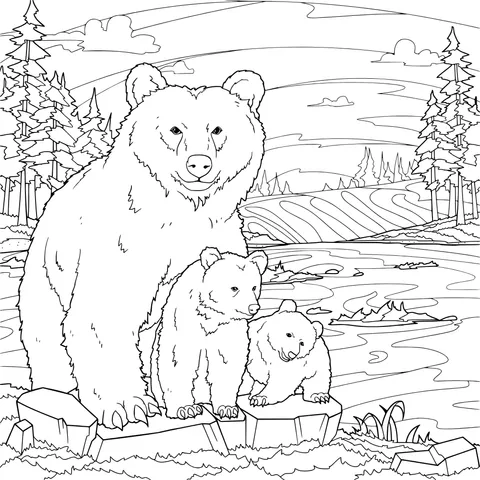 Bear family at sunset