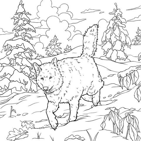 Wolf in the Snow