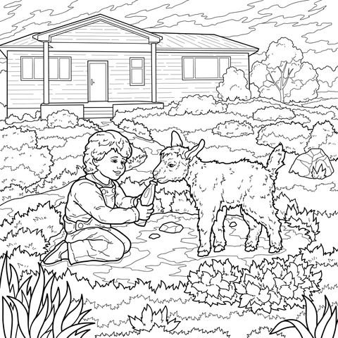 Child feeding a lamb in the yard