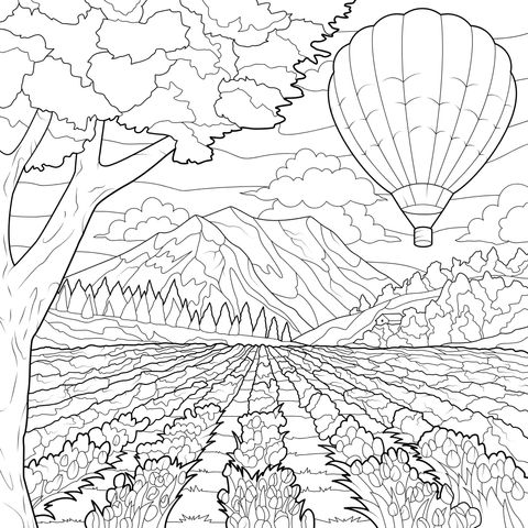 Campo de flores coloridas y globo aerostático