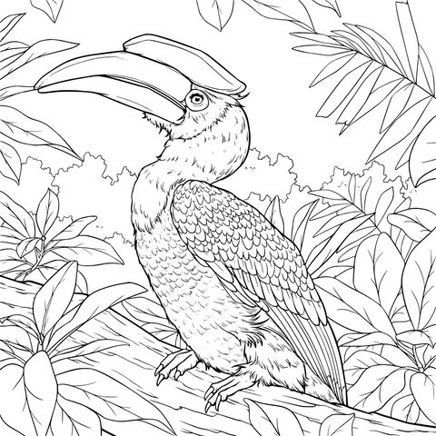 Hornbill perched on a branch