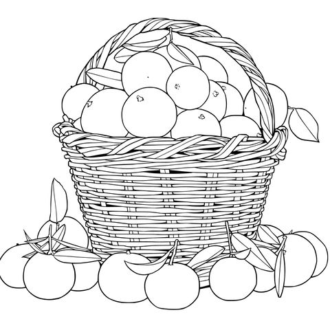 Basket full of oranges