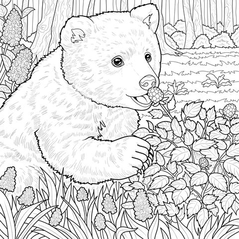 Bear eating berries in the forest