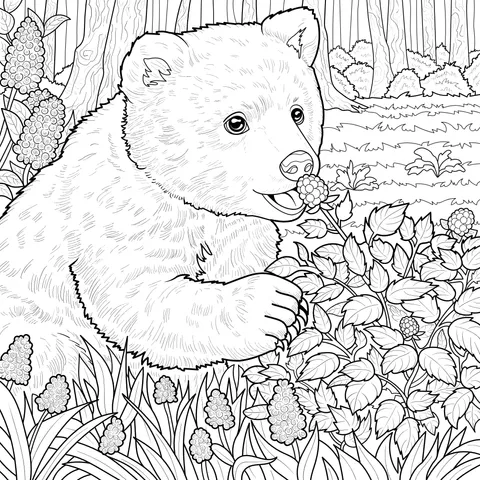 Bear eating berries in the forest