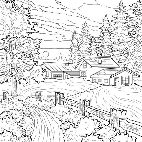 Lindo Paisagem Rural