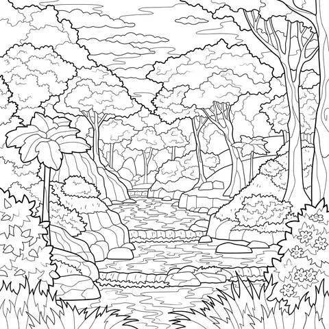 Stream in the Forest