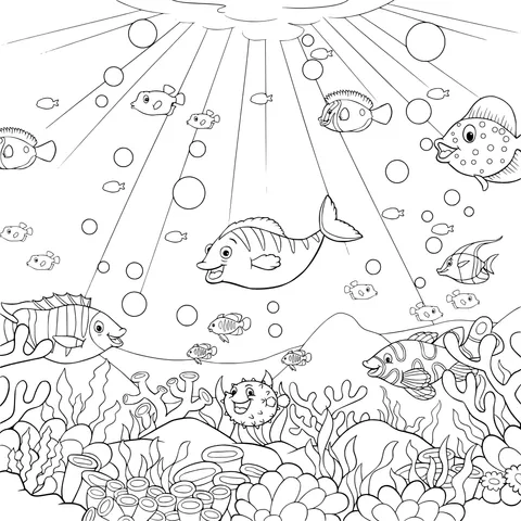 Colorful Underwater World