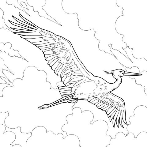White Stork Soaring in the Clouds