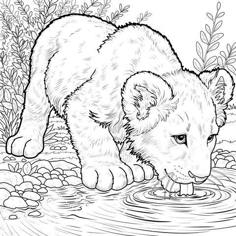 León joven bebiendo agua