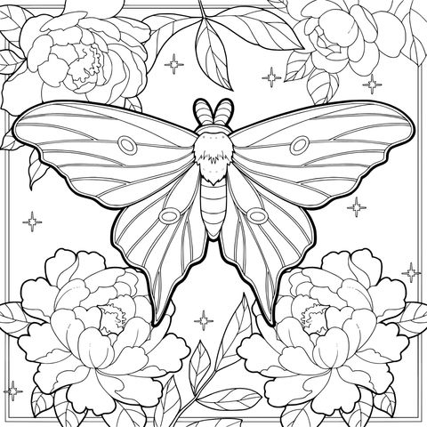 Illustration of Moth and Peonies