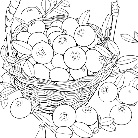 A Basket of Blueberries