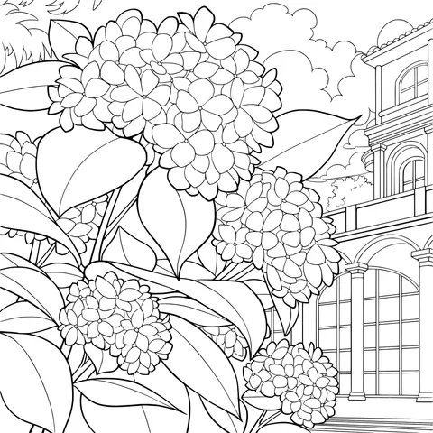 Blue Hydrangeas and Building