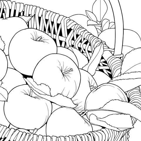 A Basket of Red Apples