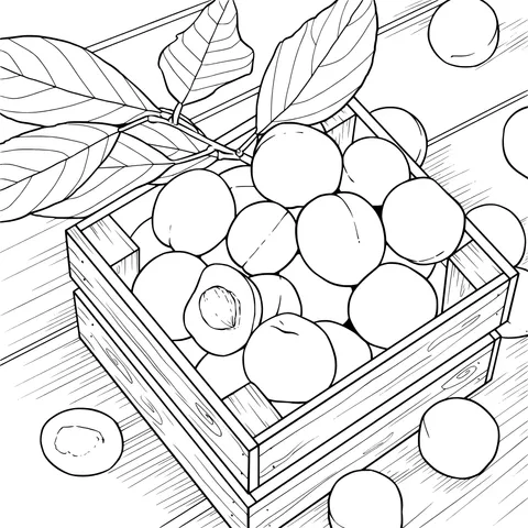 Apricots in a Wooden Box