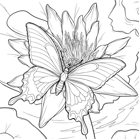 Butterfly and Lotus Coloring Page