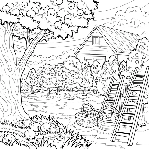 A Bountiful Apple Orchard