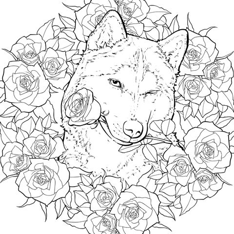 Husky Surrounded by Roses