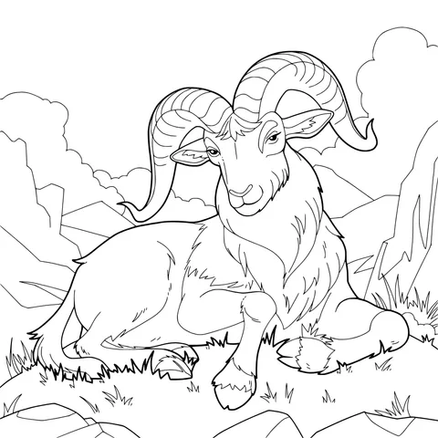 Resting Goat