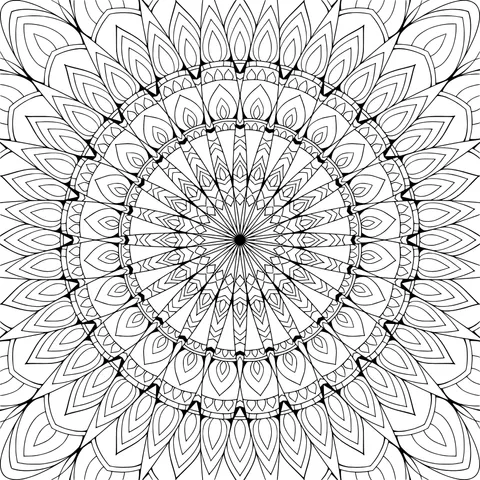 Exquisite Mandala Pattern