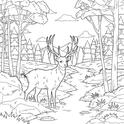 Stag by the Stream