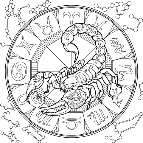 Mysterious Scorpion and Constellation Pattern