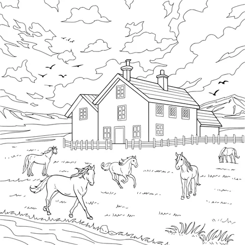 Rural Ranch Landscape