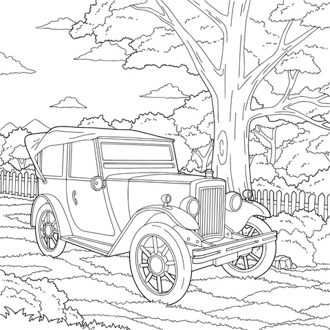 Vintage car in the field