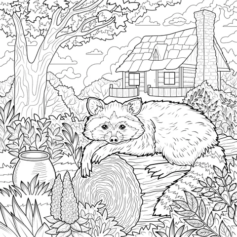 Raccoon Resting in a Pastoral Landscape