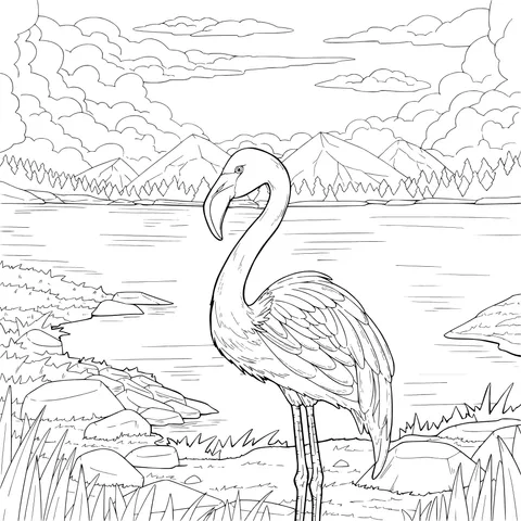 Flamingo by the Lake