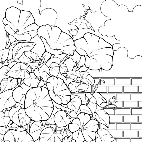 Morning Glories by the Brick Wall