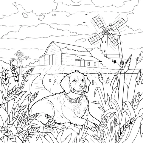 Dog in the Countryside
