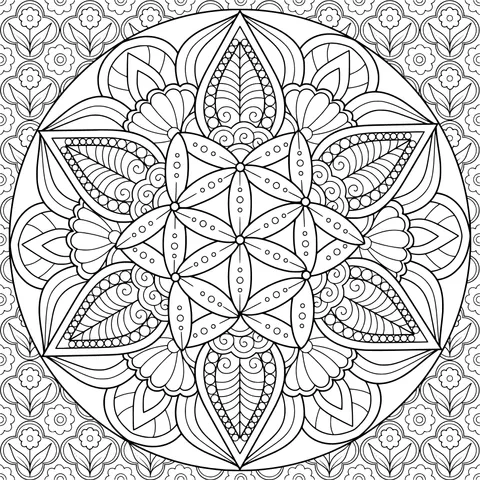 Exquisite Mandala Pattern