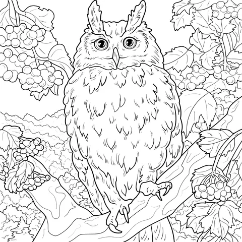 Owl Perched on a Branch