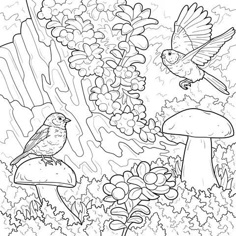 Birds and Flowers in the Forest