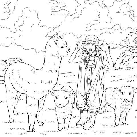 Girl with alpaca and lambs on the ranch
