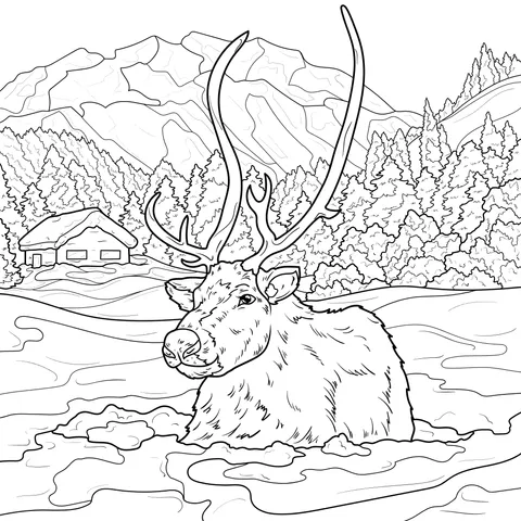 Reindeer on the Ice - field