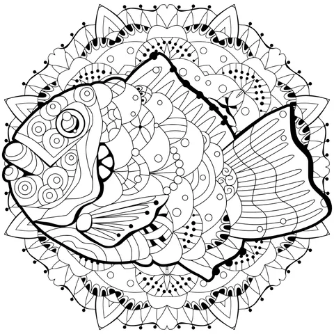 Colorful Fish Pattern
